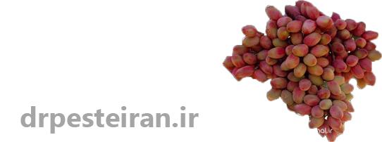 بزرگترین مرکز پسته ایران
